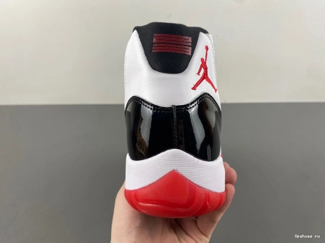 11 CT8012-106  Jordan High Bred Concord Retro 0218